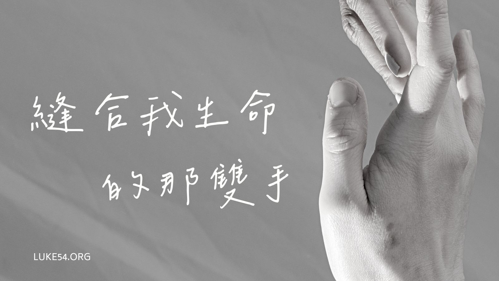縫合我生命的那雙手
